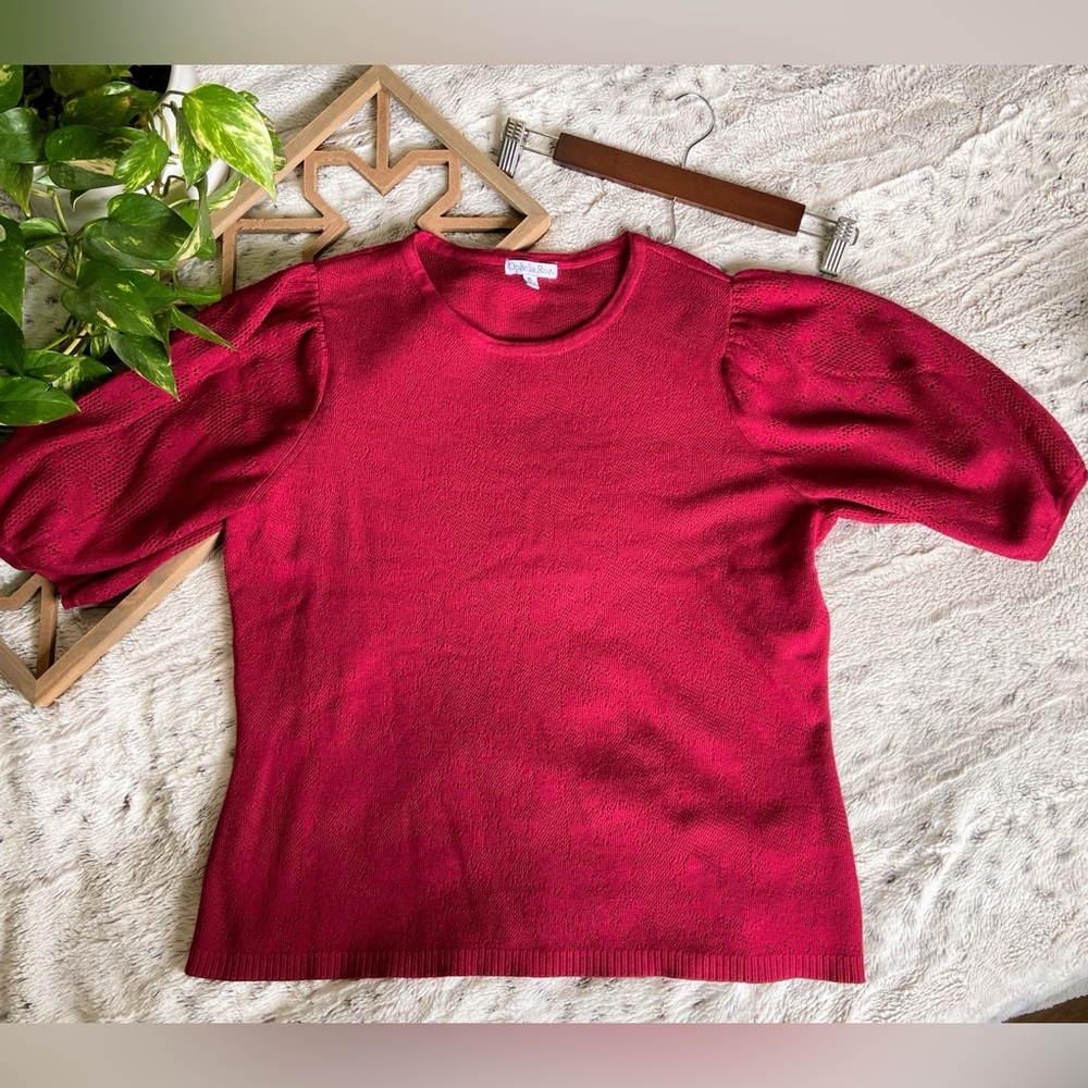 NWOT Ophelia Roe Puff Sleeve Sweater